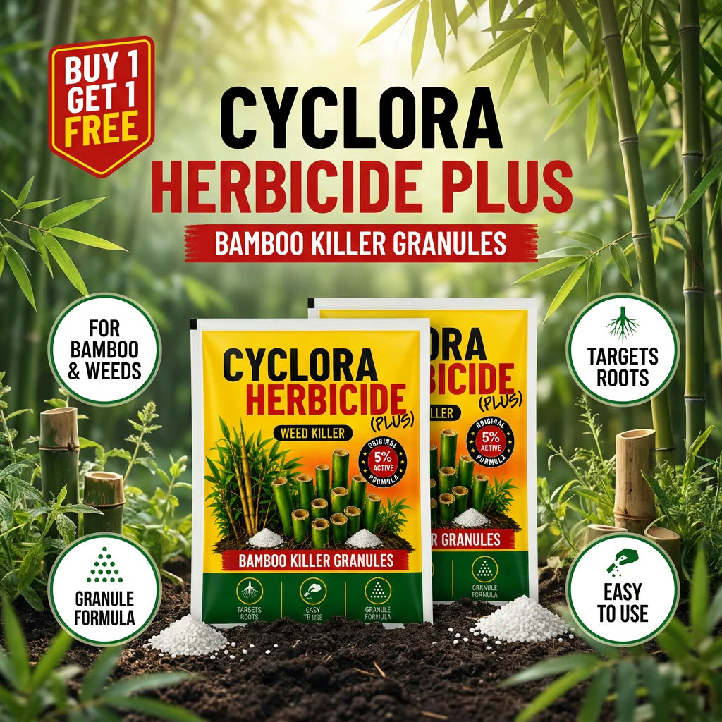 CYCLORA HERBICIDE PLUS GRASS KILLER GRANULES (PACK OF 2 × 250G)