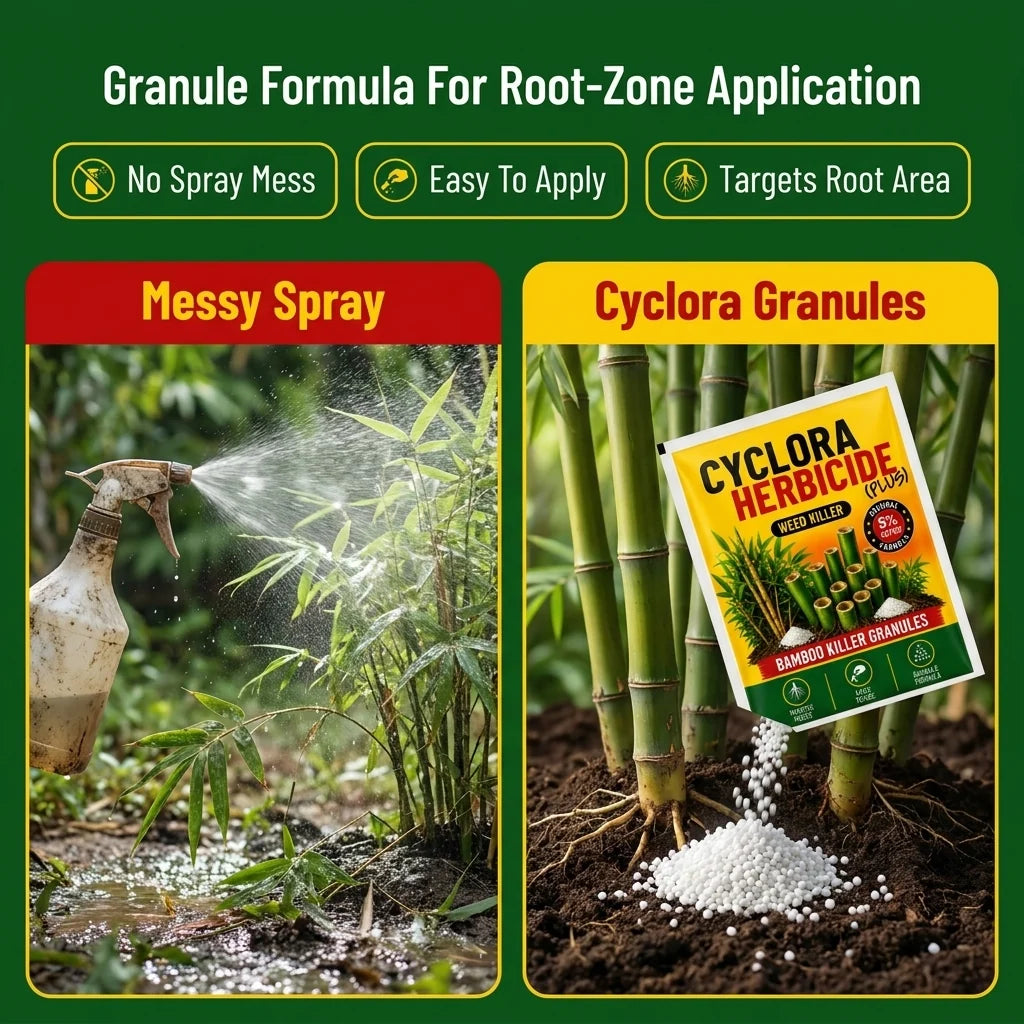 CYCLORA HERBICIDE PLUS GRASS KILLER GRANULES (PACK OF 2 × 250G)
